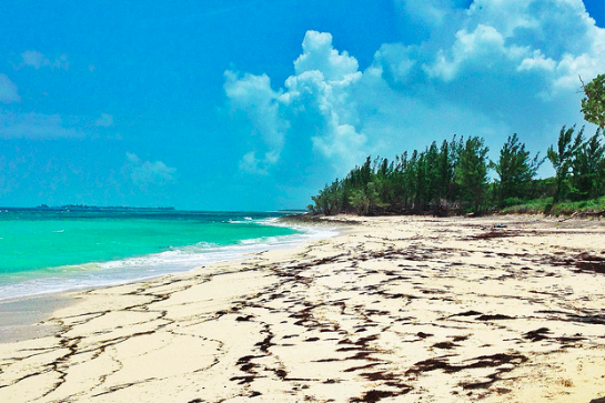 Green Turtle Cay Bahamas