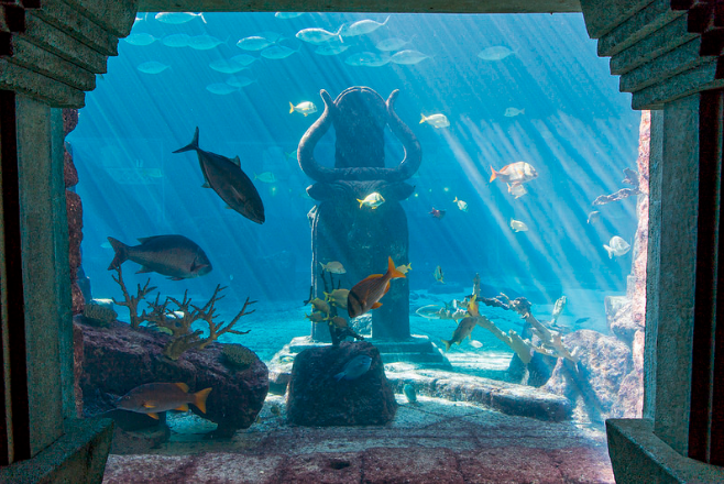 Paradise Island Aquarium Bahamas