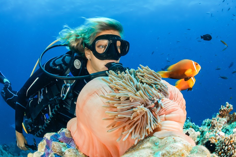 sea toys for yachts