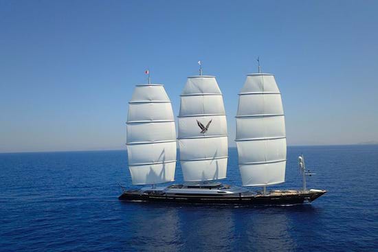 Maltese Falcon for charter