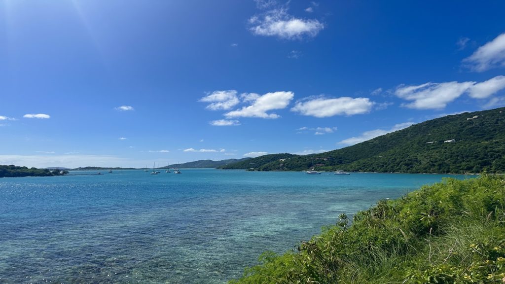 estelle roata scrub islands