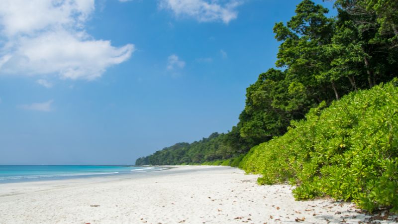 Radhanagar Beach, Havelock Island
