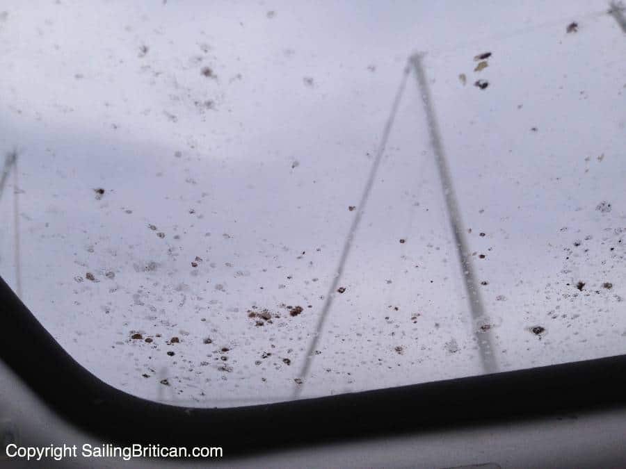 boat-mold-removal-mildew